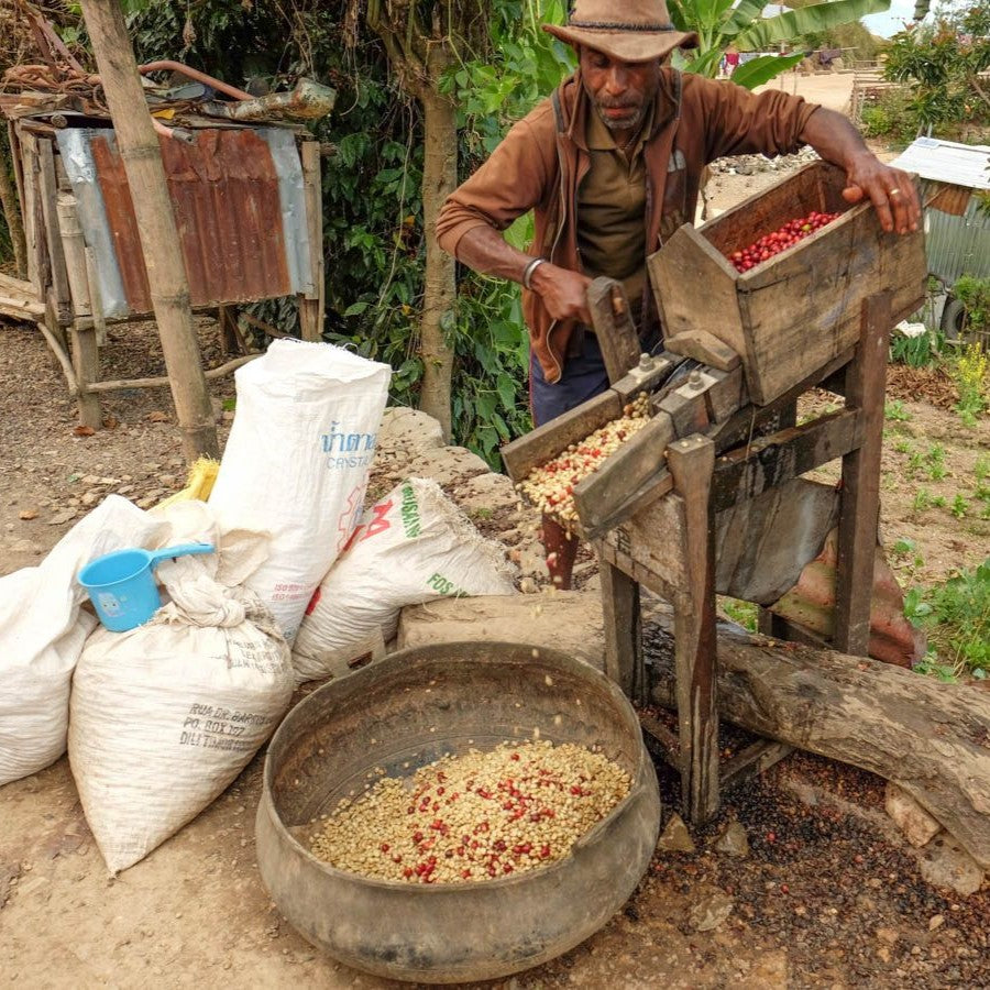 Timor Leste: Letefoho Manulo – Keia & Martyn's Coffee